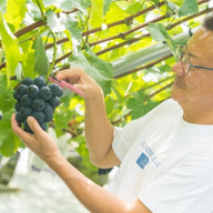 ナチュラルファームｅｎ