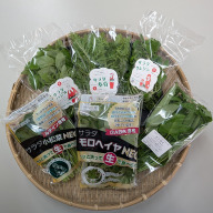 森島農園