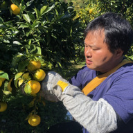 高知あさひ青果