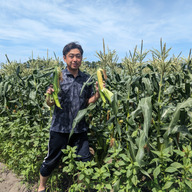 こうのファーム