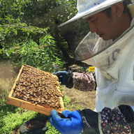 ハニーオアシス