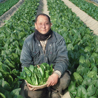 徳島有機ファーム