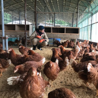 古都 風雅ファーム