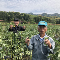 まつけんファーム