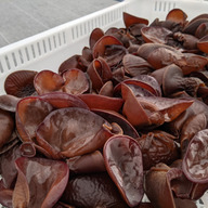 ヘキサテック やまさと