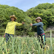 ころあいふぁーむ