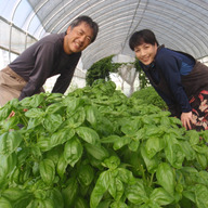 ファームゆうき