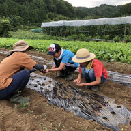 ナガノグリーンアース