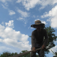 自然農園たかはし