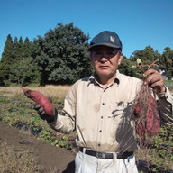 ファーム里山人(やまじん)　熊本野菜.com