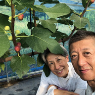 矢寄ヶ浜果樹園