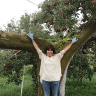 ジェニーさんのりんご畑