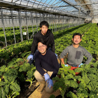 シェアガーデン