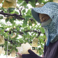 たかはし果樹園
