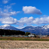 ダンクファーム