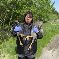 グローバルフィールド