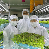 ひこうきやさい