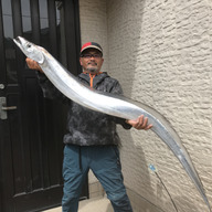 さかなんちゅ　白畑賢二郎