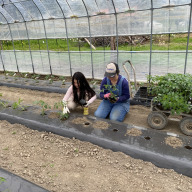 サウザンドリーフ