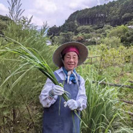 福岡のハーブ、薬香園コア・ファーム