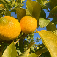 グッドソイルグループ　広島本店