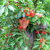 上山観光フルーツ園
