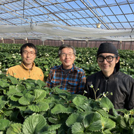 シックスベリーファーマーズ 松田農園