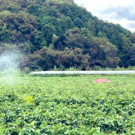 林田農園