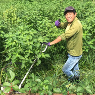 奈良市東部エゴマの郷
