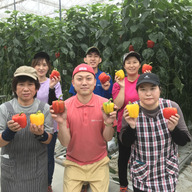 愛彩ファーム九重（ここのえ）