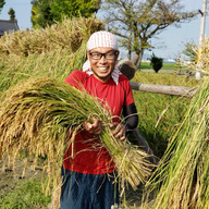 【高品質】もち米 25kg 自然栽培 天日干し 楽天市場】自然 栽培 玄米 天 日干しの通販