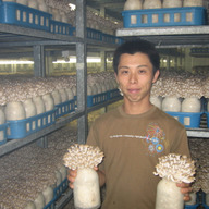 博多すぎたけ商店（ドリームマッシュ）