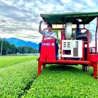 かぶせ茶ファーム