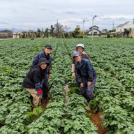 きくちゃん農園