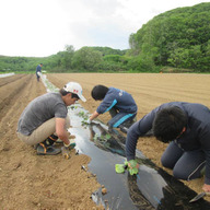 ワークショップようてい農業部