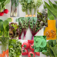 手のひらファーム