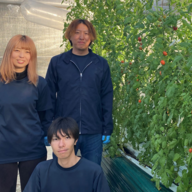 ハラダさんちのトマト