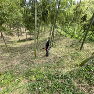 たかおタケノコ園