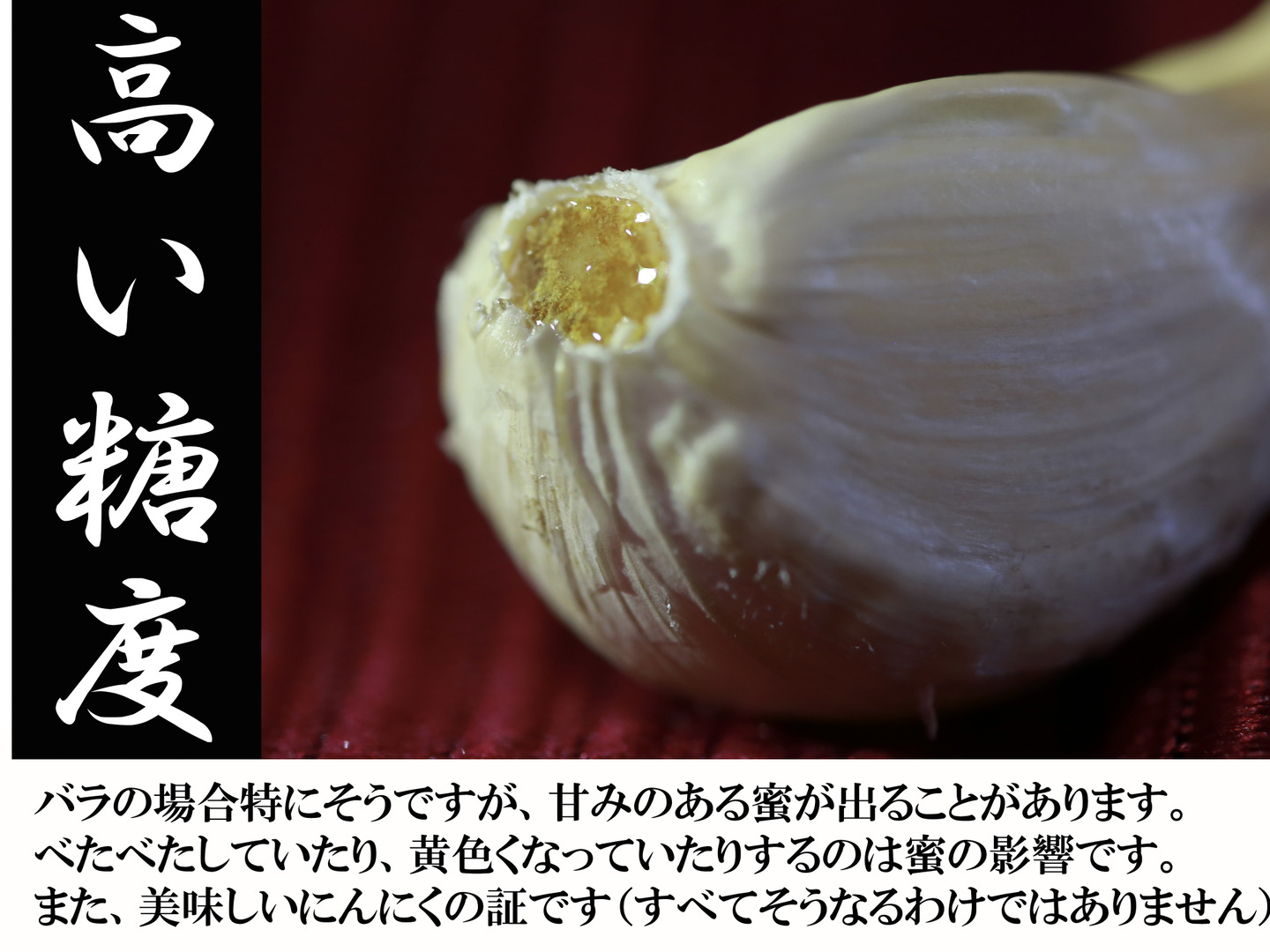 有機にんにく）青森県田子町産にんにくMサイズAB規格1kg ※白い