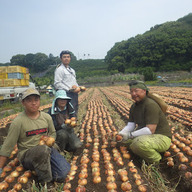 シャローム木村農園