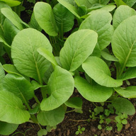 株式会社 弥介さ