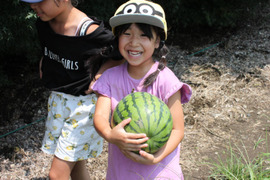 【美味しい野菜をお届けします】　季節の野菜セット『採れTakara☆彡』7品