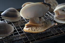 旨みがギュッ！
九十九里産活ハマグリ1.5kg(15〜22個位)