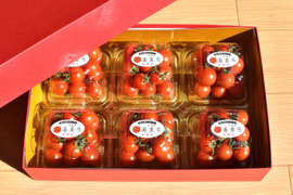 【贈答用】寿美令トマト（150gパック6個／化粧箱入り）フルーツトマト　ミニトマト　アイメック農法【母の日ギフト】