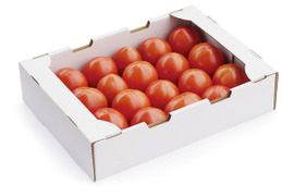 濃厚とろける！ひばりトマト2キロ