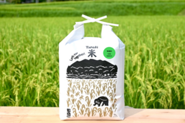 【令和8年産 新米】【白米】『特選米 5kg』高級！  濃厚！ハイグレードなコシヒカリ お米♪ 冷めても美味しい！お弁当に最適！！