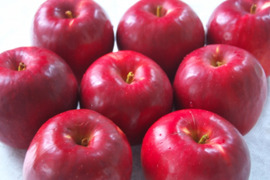 30箱販売　紅玉　5㎏13～24玉【ASIAGAP認証農場：津軽農園】　青森りんご　農家直送