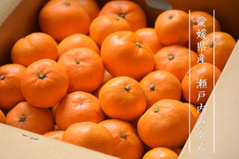 【搾汁用】訳あり温州みかん５ｋｇ 農薬不使用 自然栽培 愛媛県産