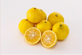 はるか家庭用4kg