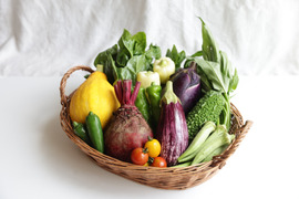 「農薬・化学肥料不使用」のお試し野菜セット/7-8種類/【夏ギフト】/簡単な調理例記載あり！